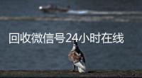 回收微信号24小时在线秒结（回收微信号网站）